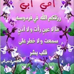 Meet your Posher, Sekna